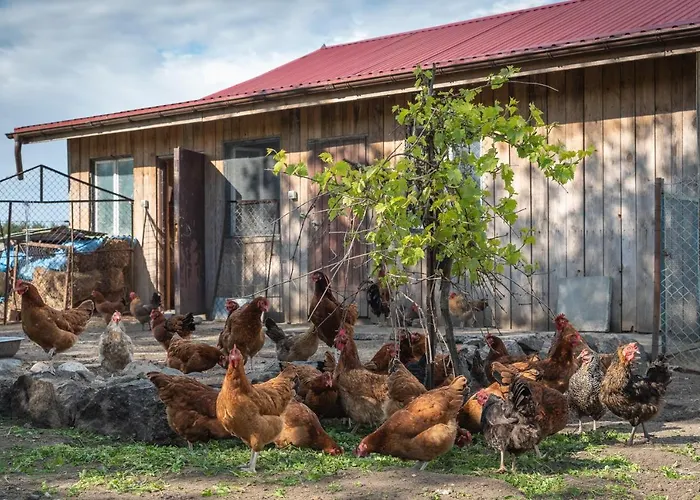 Gawrys شقة ساسينو